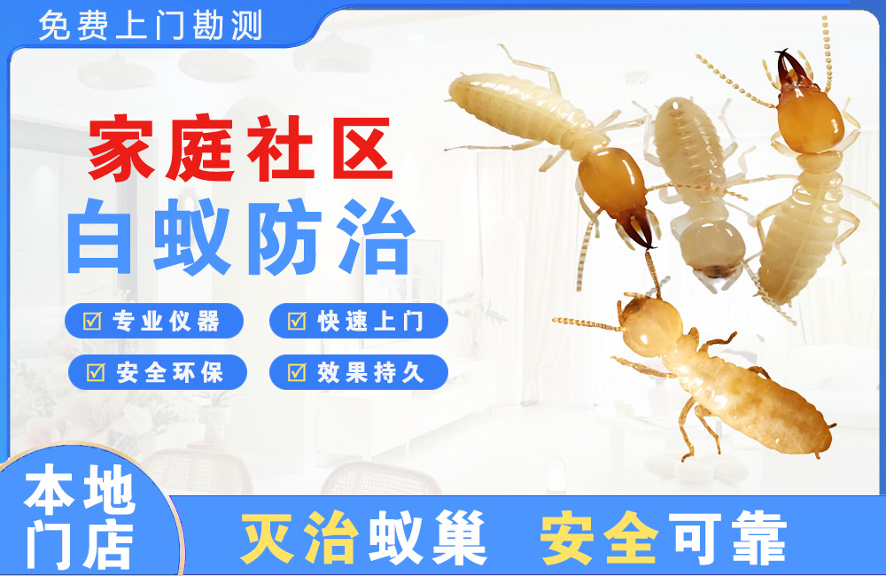 乐平家庭社区白蚁防治