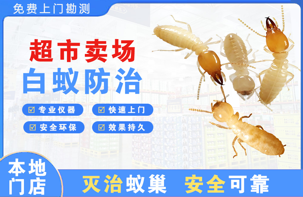 乐平超市卖场白蚁防治