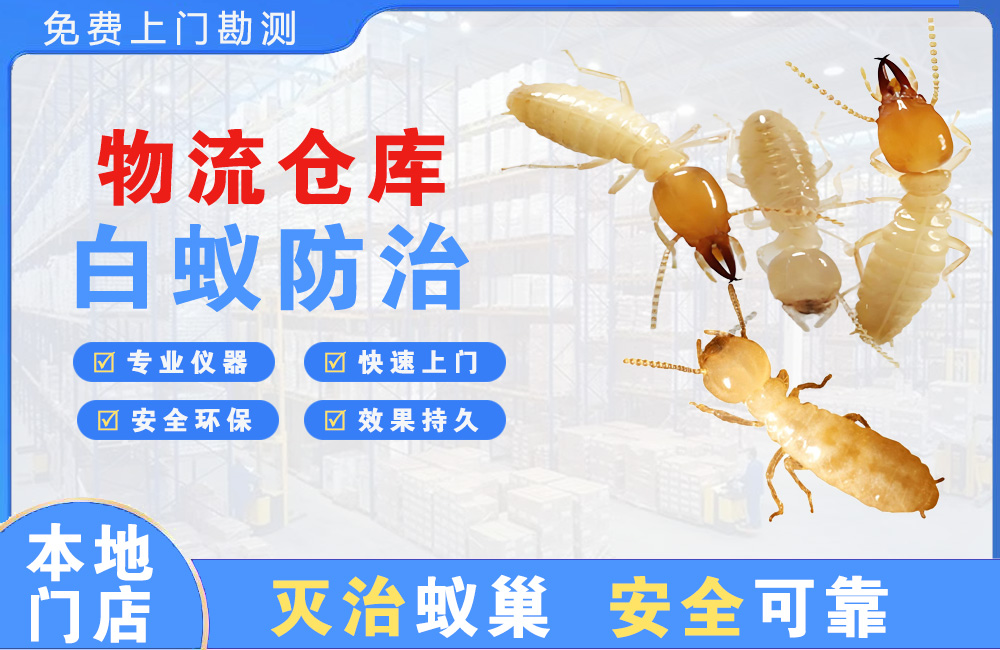 乐平物流仓库白蚁防治