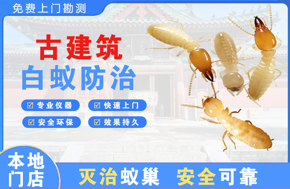 乐平古建筑白蚁防治