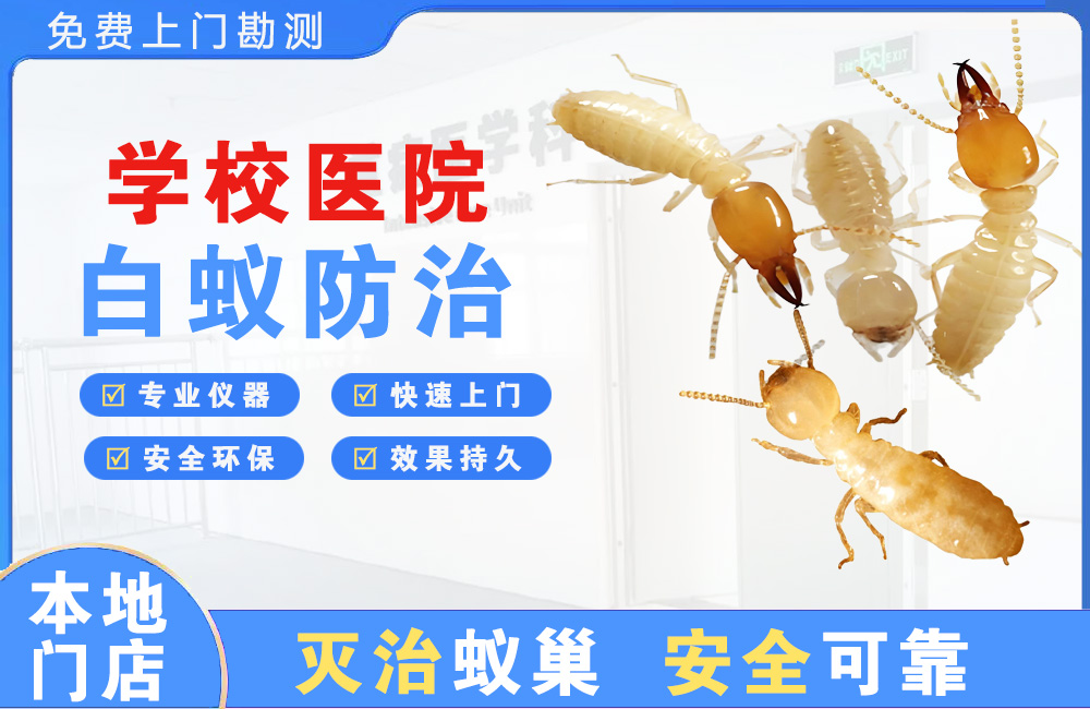 乐平学校医院白蚁防治