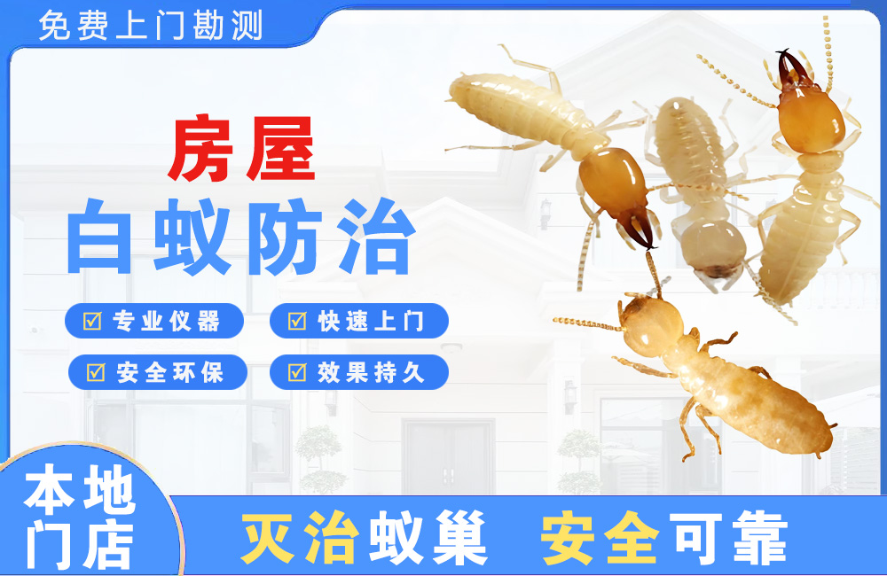 乐平房屋白蚁防治