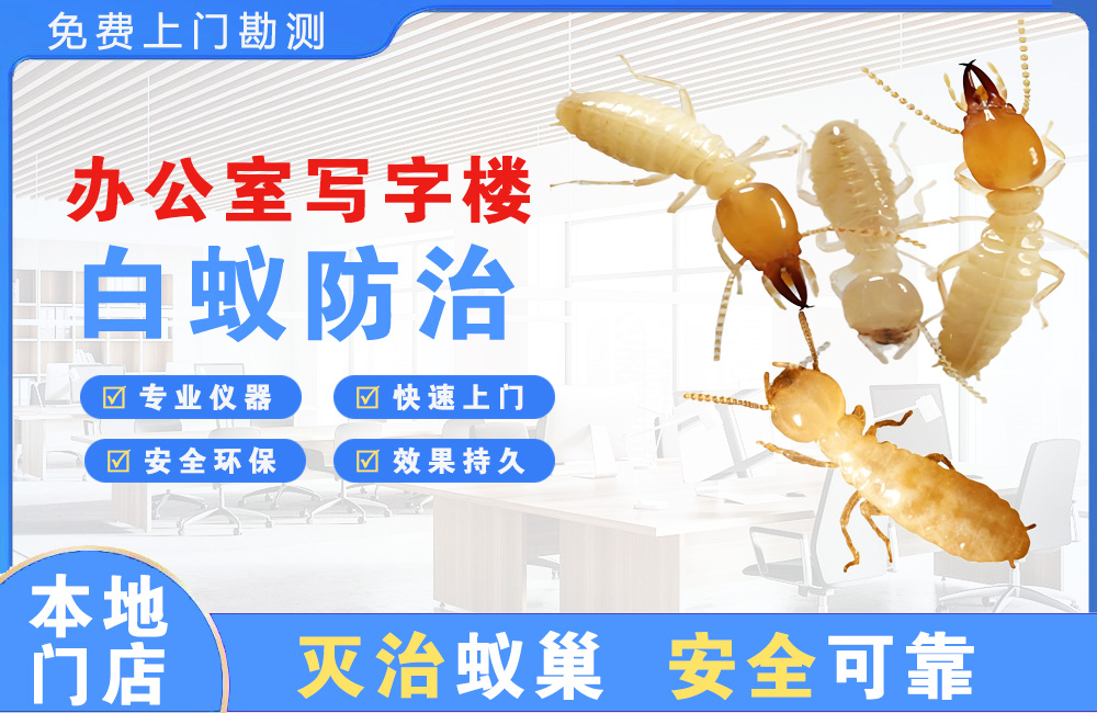 乐平办公室写字楼白蚁防治