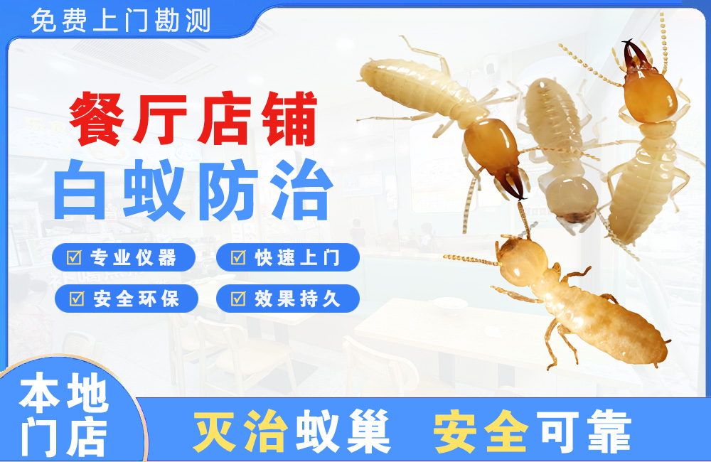 乐平餐厅店铺白蚁防治